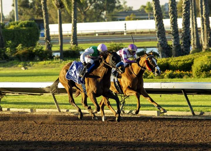 Bob Baffert runs Starlet Stakes streak to 9 with Consequent