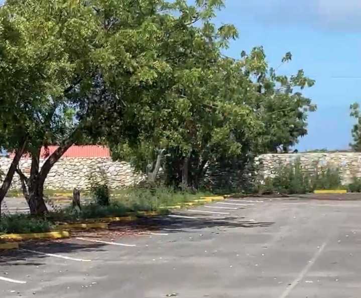 Piden desmalezar el estacionamiento de El Ceibo