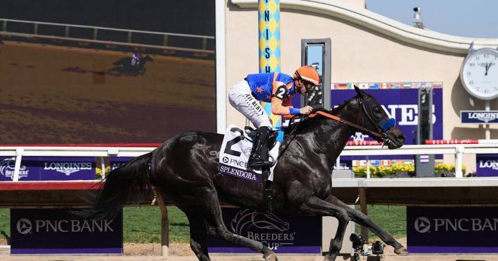 Maryland-Bred Splendora Shows Strength With Breeders' Cup Win