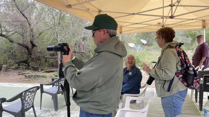 Rare brown jay bird spotted at South Texas wildlife preserve