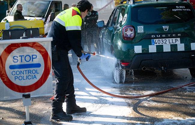Gobierno catalán declara “emergencia” ante brote de peste porcina africana