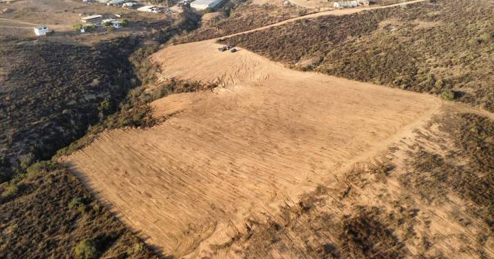 Ofrecerán 424 terrenos a bajo costo en Ensenada