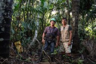 Scientists push for greater climate role for Latin America’s overlooked ecosystems