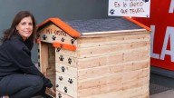 Impulsa regidora instalación de casitas para proteger a perritos en situación de calle en Parral