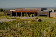 Surgen nuevos vínculos impensados alrededor de la polémica de la AFA El nombre de un vino, la clave.