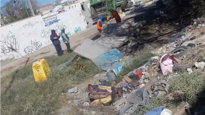 Exhorta la Dirección de Limpia a no arrojar basura en calles y áreas verdes