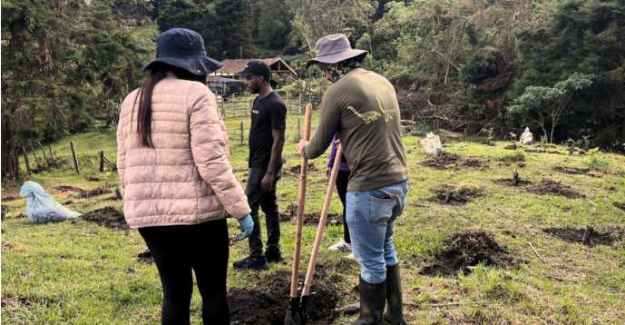 300 árboles más fortalecen la conservación en la Reserva Natural La Romera