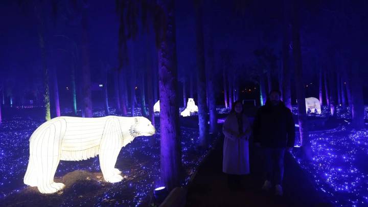 Naturaleza Encendida en Zaragoza, el espectáculo que sorprende en Navidad: precios y horarios