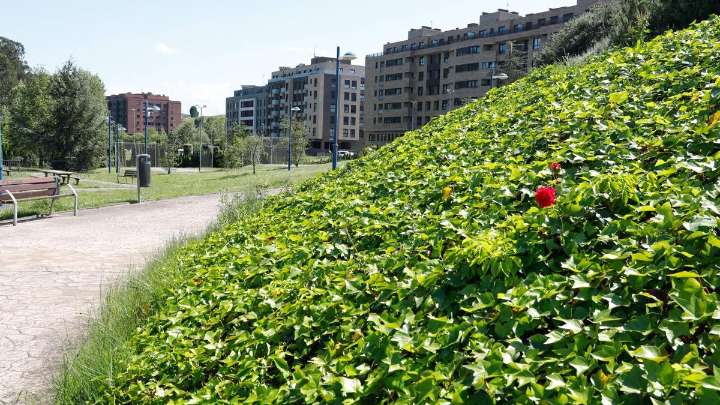 Corte de agua en Avilés: día y hora de las obras que afectarán a 299 usuarios