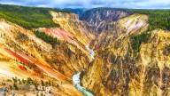 Yellowstone's Peculiar Noise Ban: Why It's Illegal To Make This Specific Sound In The Park