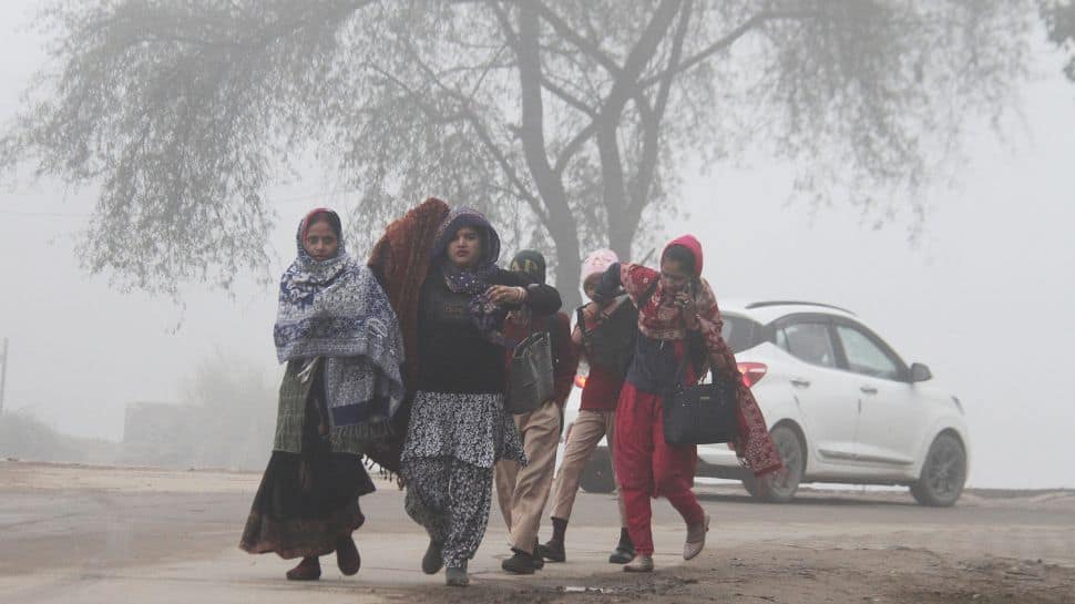 IMD Issues Alert As Cold Wave, Dense Fog Grips Multiple States
