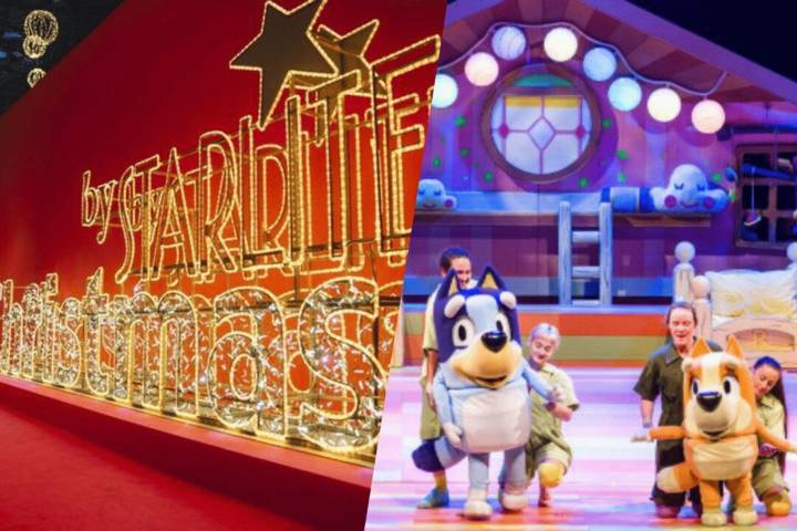 Ricky Martin, Bluey, DJ Nano y Starlite protagonizan la gran programación navideña de IFEMA Madrid