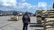 Exportan desde Lara 161 toneladas de café verde a EEUU