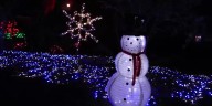 WTOC Gift Guide: Coastal Georgia Botanical Gardens (Christmas 2025)