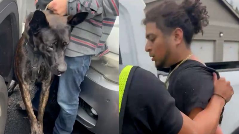Senadora pide la liberación de hombre detenido por CBP que fue atacado por un perro