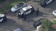 Police officers shoot person in Los Angeles