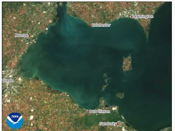 NOAA: Summer 2025 algal bloom was mild, within range