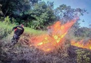 Incendios forestales: Indeci pide tomar previsiones frente a siniestros en 4 departamentos