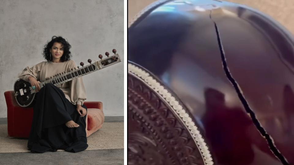 Musician Anoushka slams Air India after sitar gets damaged