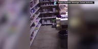 Surveillance footage shows raccoon breaking into liquor store before passing out in bathroom