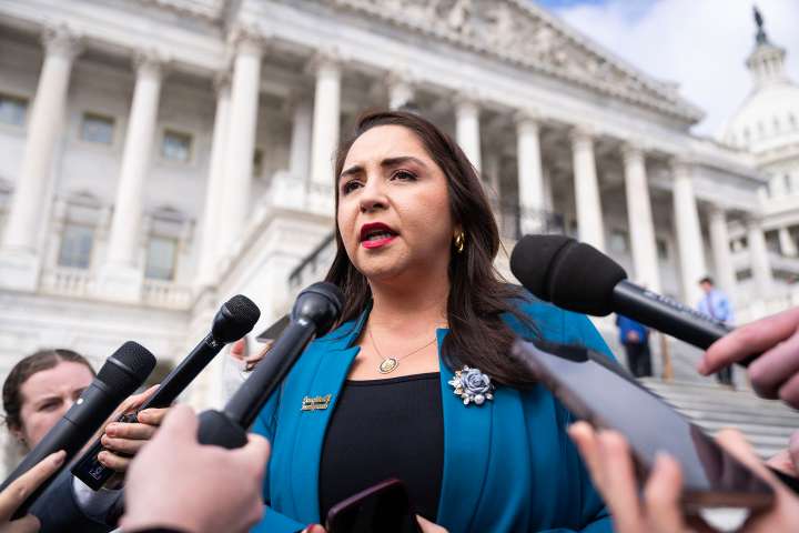 Democrats bring resolution condemning ICE treatment of pregnant, postpartum immigrants