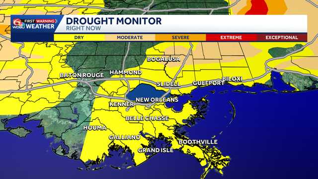 It's one of the most popular parks in Metairie. Drought conditions are impacting its natural beauty
