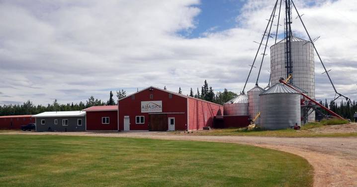 Can Delta Junction become a food security hub? Potentially, but it needs work