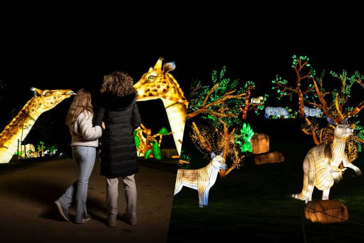 Una experiencia inmersiva y lleva de diversión familiar aterriza en Getafe: así es Brilla Zoo, el espectáculo navideño