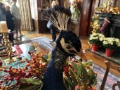 Public invited as Windsor's Willistead Manor dresses up for holidays