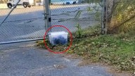 Alabama Woman Freezes When She Realizes What’s Trapped Inside A Plastic Container She Found
