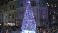Philadelphia City Hall Tree Camera Live