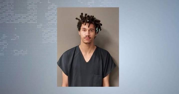 Man accused of killing Dodgeville woman ruled incompetent, hearings to continue