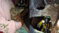 Gato cayó y quedó atrapado en un pozo séptico de 12 metros de profundidad en Pasto: ¿cómo lo rescataron?
