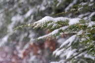 Mass. weather: Bitter cold and snow squalls on the way