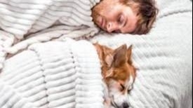 Dormir con mascotas puede afectar tu descanso
