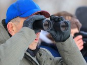 Calgary's birding community gathers for annual Christmas Bird Count Sunday