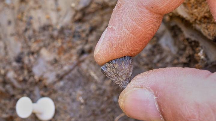 Study finds humans were making fire 400,000 years ago, far earlier than once thought