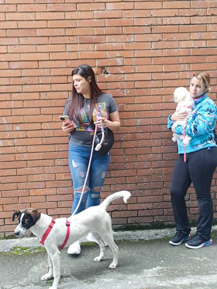 75 mascotas fueron esterilizadas en jornada comunitaria en Los Castores
