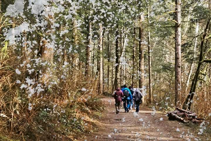 WA's Best Winter Vacations For Tired People