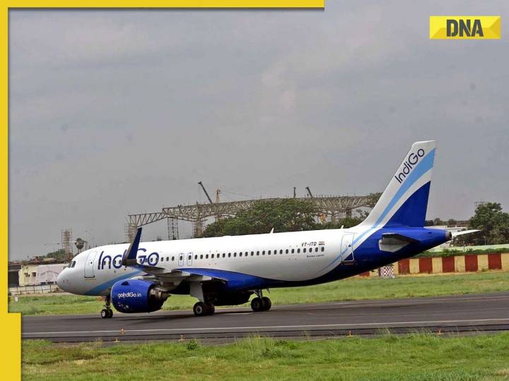 IndiGo sets up crisis management group amid ongoing crisis, know what this means