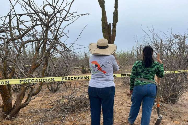 Localizan dos nuevas fosas clandestinas en la carretera La Paz