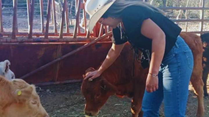 Ganaderas de Sonora crean una red para fortalecer a mujeres del sector rural
