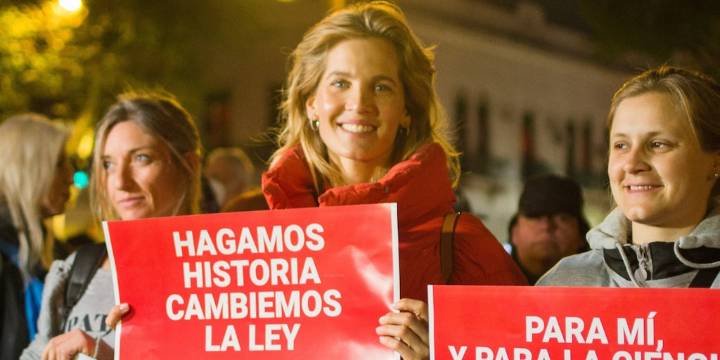 El proyecto de Ley Sintientes llega al Congreso: la norma que busca que los animales dejen de ser considerados “cosas”