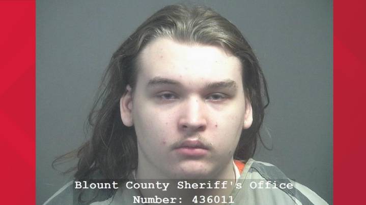 Teen indicted in 2024 Blount County crash that killed 19