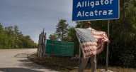‘Copy of Guantánamo’: Human rights group alleges torture, inhumanity at ‘Alligator Alcatraz,’ Krome