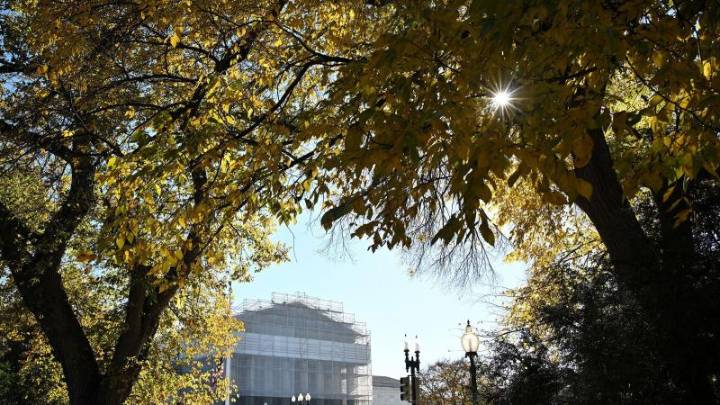 Supreme Court agrees to decide if Trump may end birthright citizenship