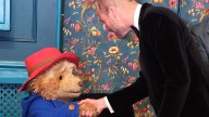 Adult-rated live Paddington sex show wins rave reviews from critics