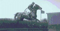 A jockey’s wild finish | Holy Cow! History