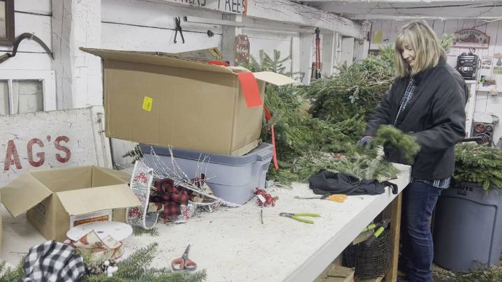 Christmas tree farms staying busy in Grand Rapids
