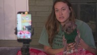 How a Houston woman used Instagram to rescue hundreds of abandoned animals